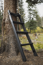 Load image into Gallery viewer, Rugged Ladder - Black
